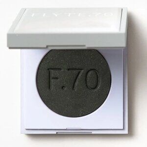 NWT Flyte.70 HazyView Dense Eyeshadow down under